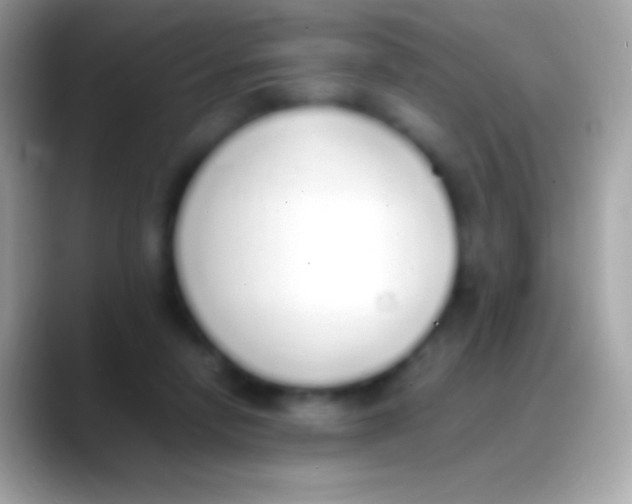 X0000088150258200706041400