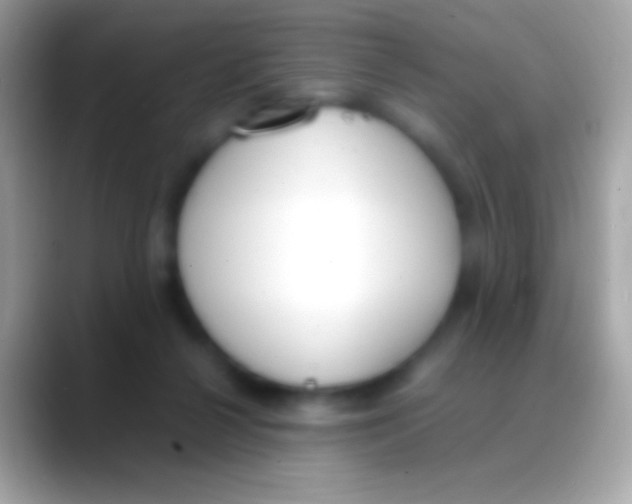 X0000088150264200706041400