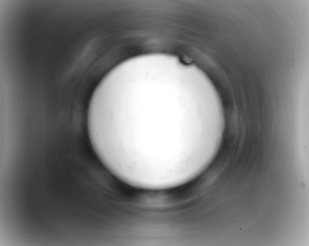 X0000088150266200706041400