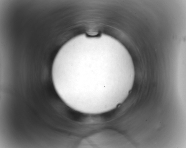 X0000088150270200706041400