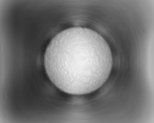 X0000088150272200706041400