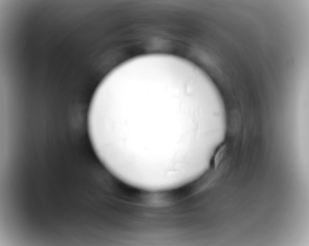 X0000088150273200706041400