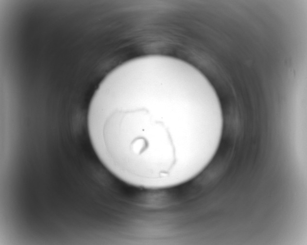 X0000088150278200706041400