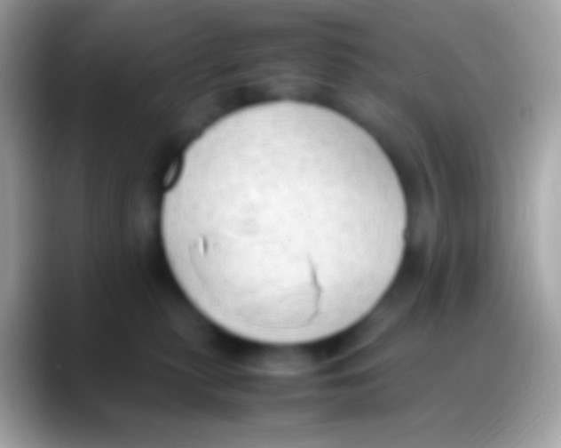 X0000088150279200706041400