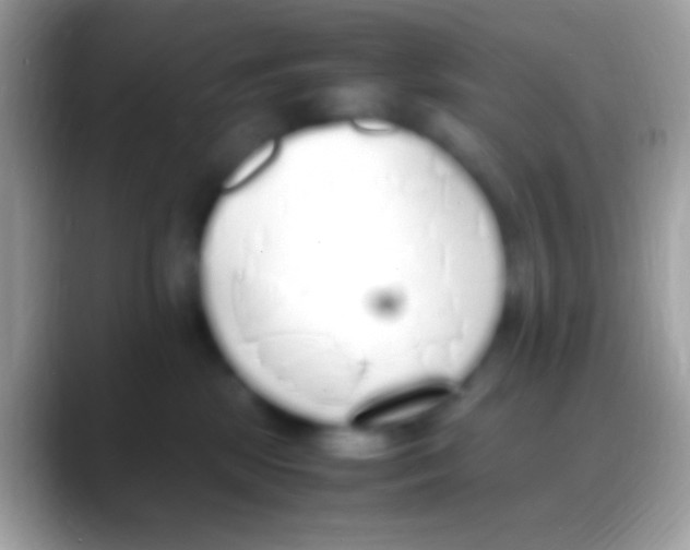 X0000088150281200706041400