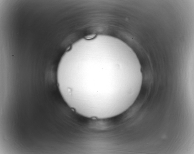 X0000088150282200706041400