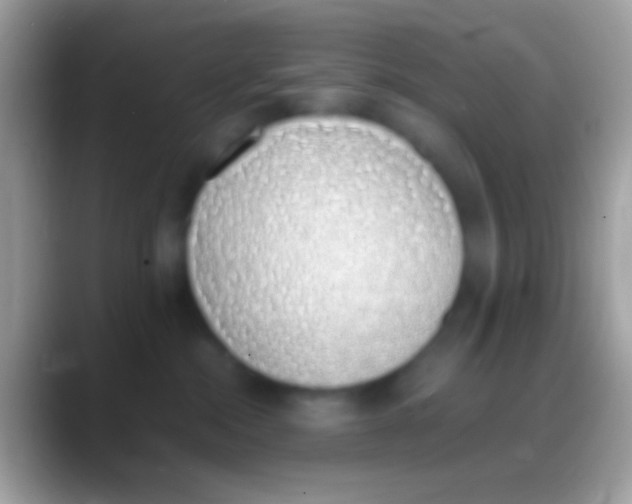 X0000088150284200706041400