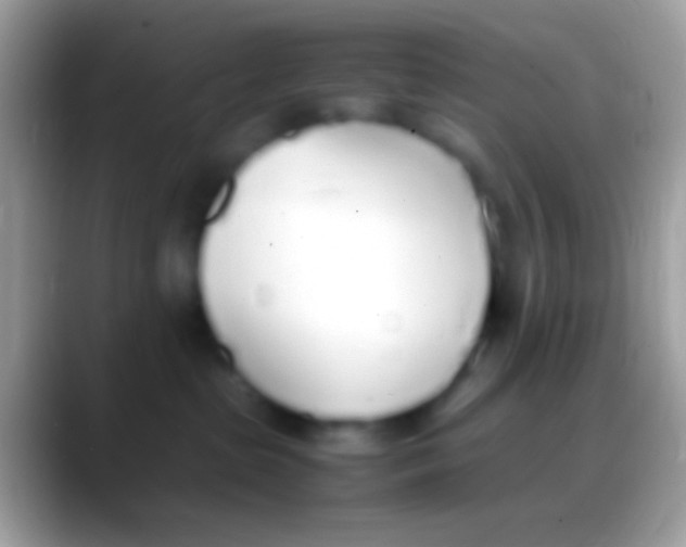 X0000088150285200706041400