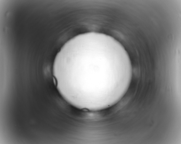 X0000088150286200706041400