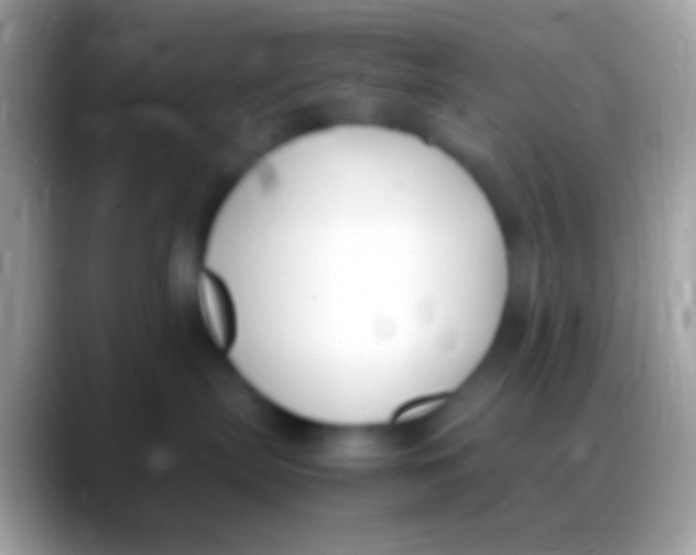 X0000088150287200706041400