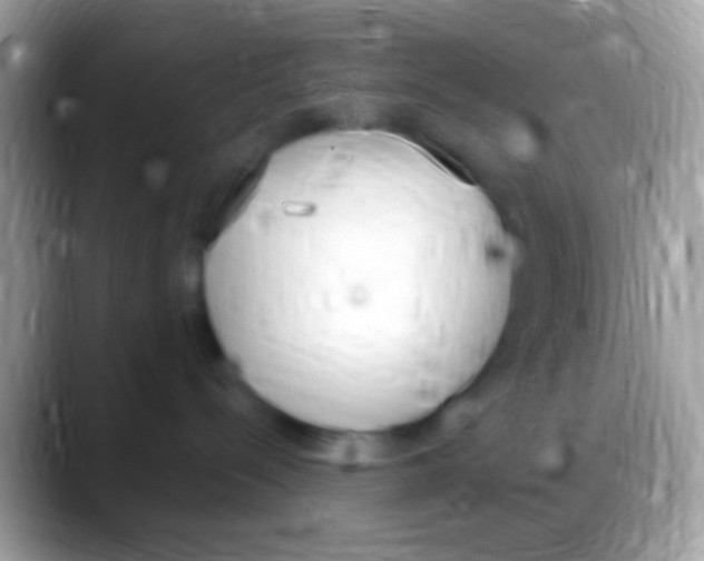 X0000088150288200706041400