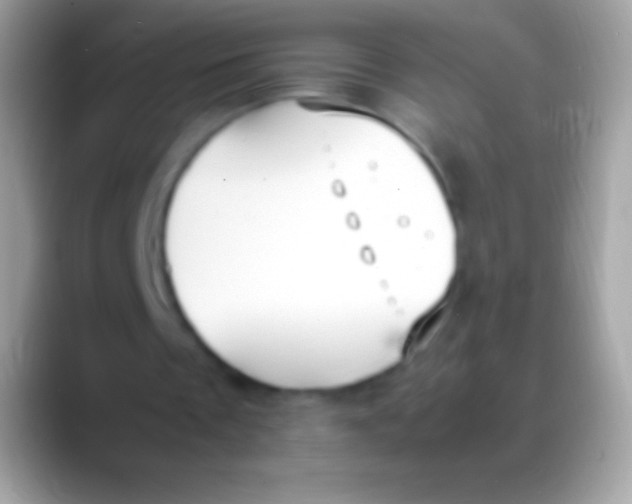 X0000088150289200706041400