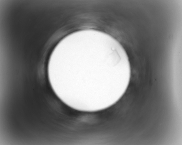 X0000088150296200706041400