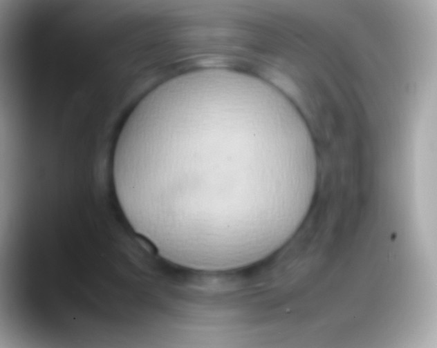 X0000088150297200706041400