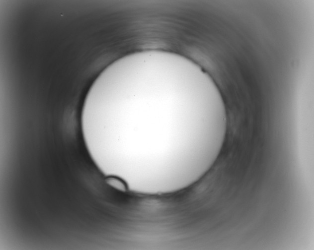 X0000088150298200706041400