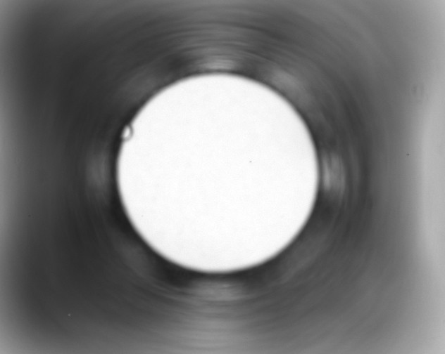 X0000088150300200706041400