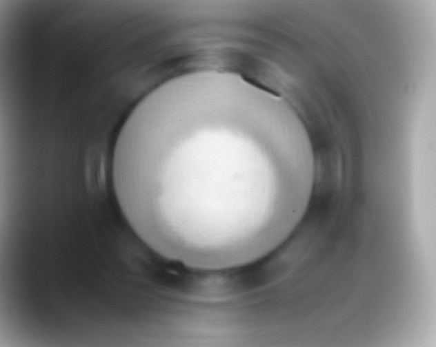 X0000088150301200706041359