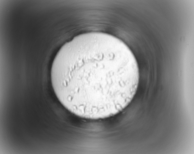 X0000088150303200706041359