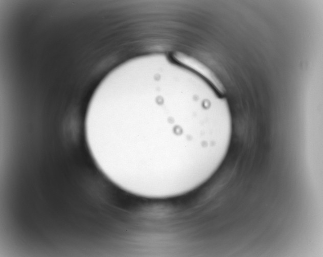 X0000088150304200706041359