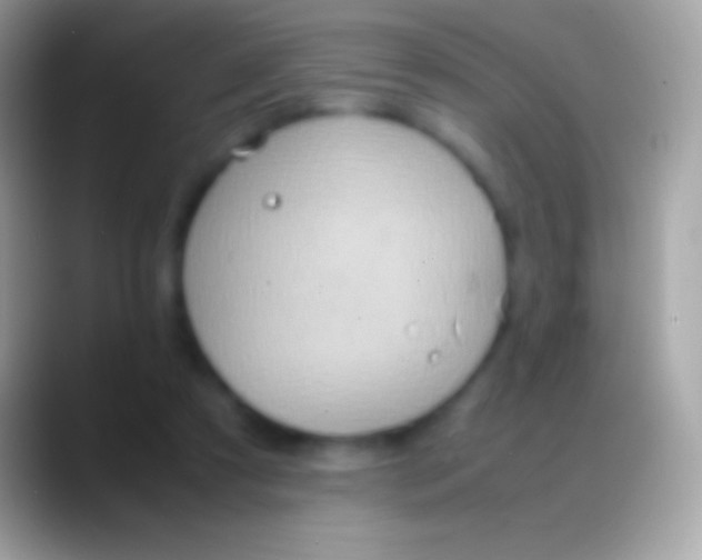 X0000088150305200706041359