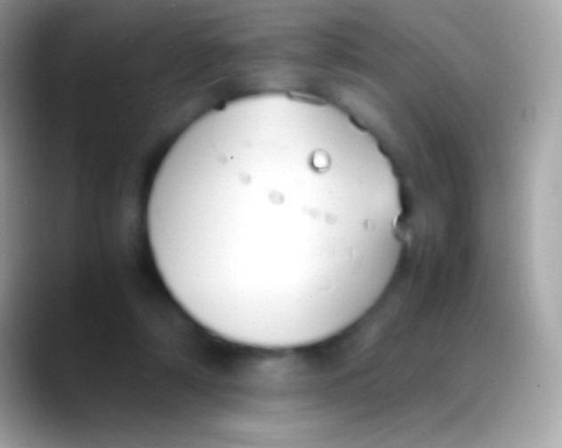 X0000088150306200706041359