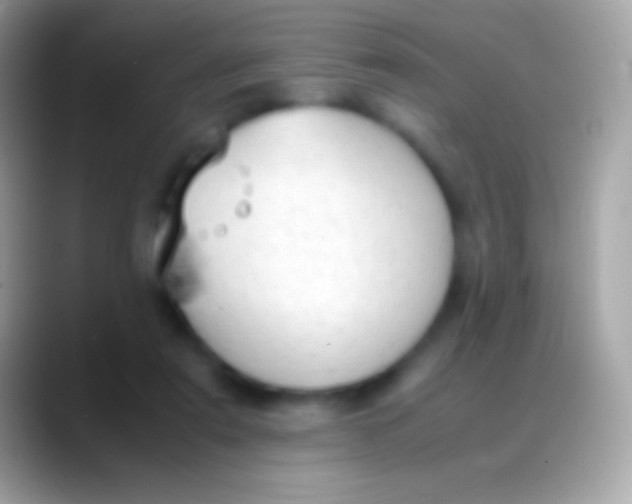 X0000088150307200706041359