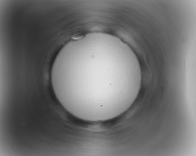 X0000088150309200706041359