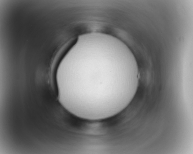 X0000088150313200706041359