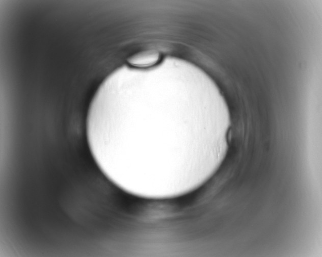 X0000088150315200706041359