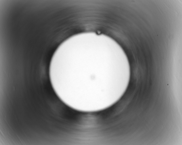 X0000088150316200706041359