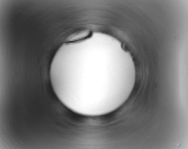 X0000088150317200706041359