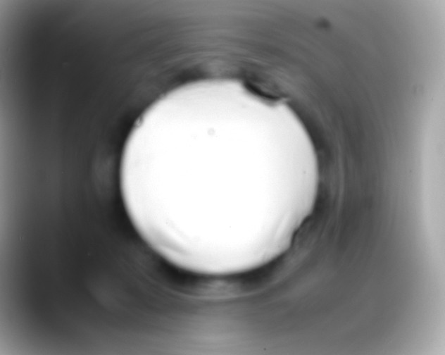 X0000088150319200706041359