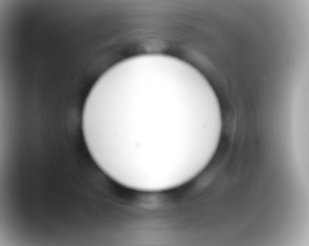 X0000088150321200706041359