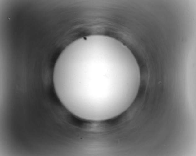 X0000088150323200706041359