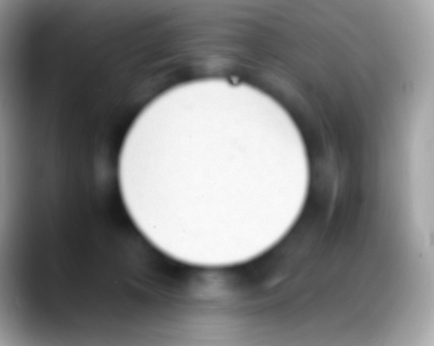 X0000088150324200706041359