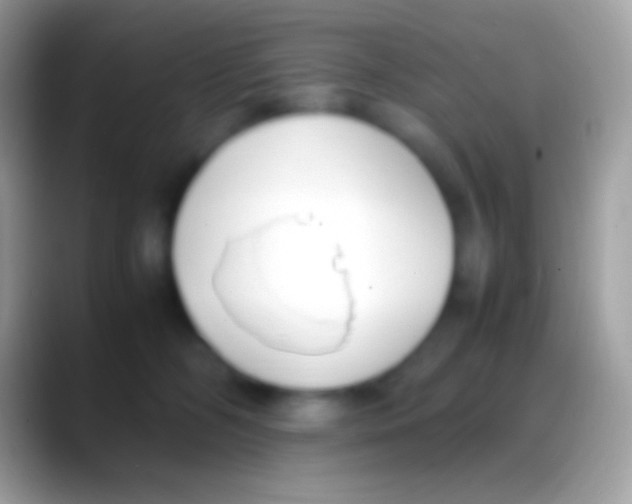 X0000088150326200706041359