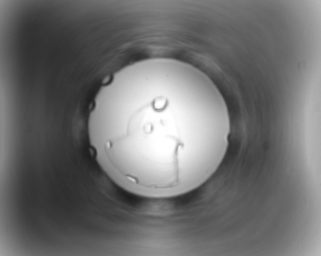 X0000088150327200706041359