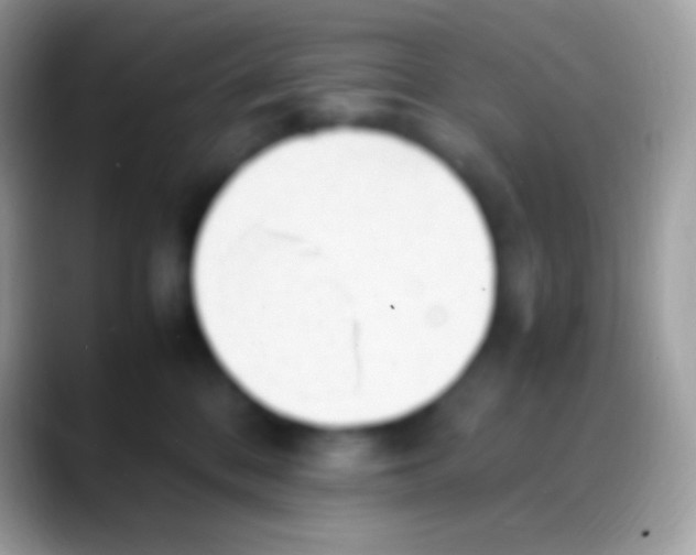 X0000088150328200706041359