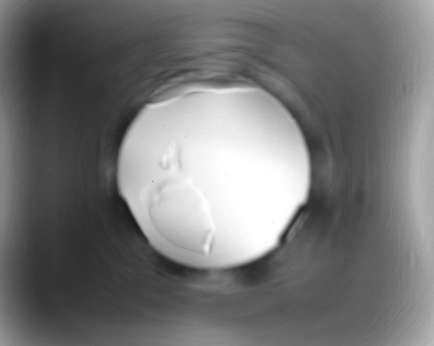 X0000088150329200706041359