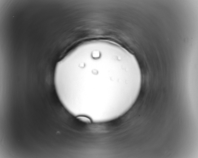 X0000088150331200706041359