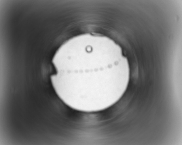 X0000088150332200706041359