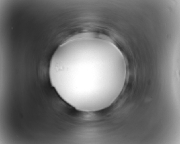 X0000088150333200706041359