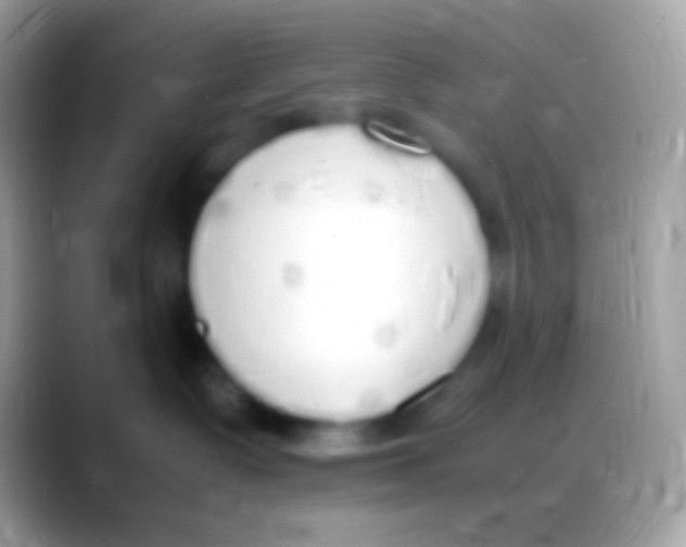 X0000088150335200706041359