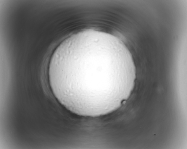 X0000088150337200706041359