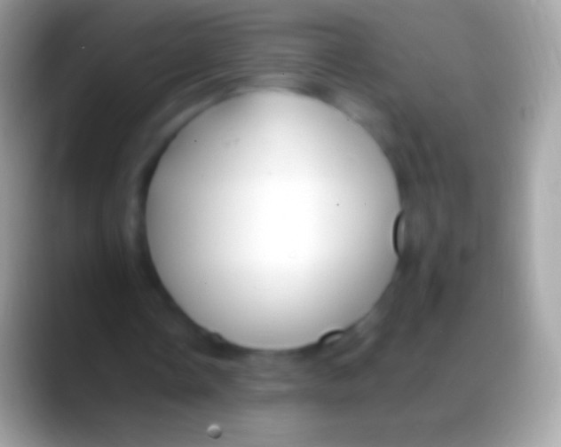 X0000088150338200706041359