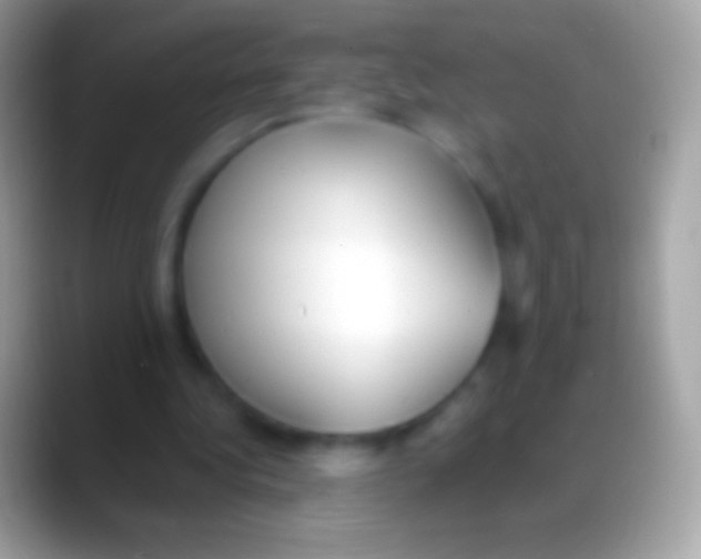 X0000088150340200706041359