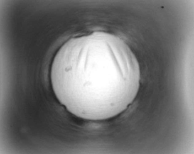 X0000088150341200706041359