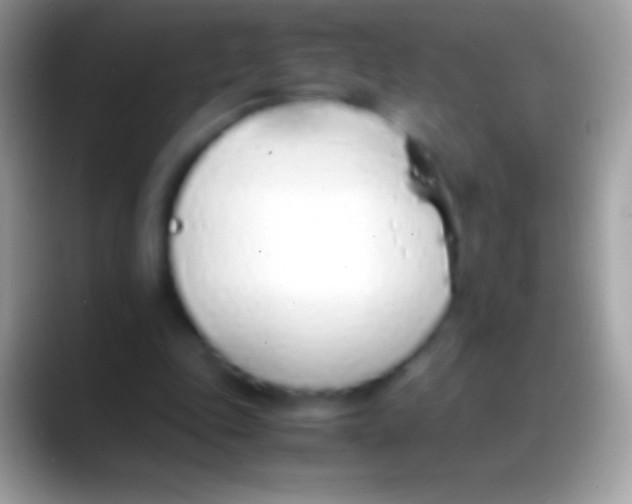 X0000088150343200706041359