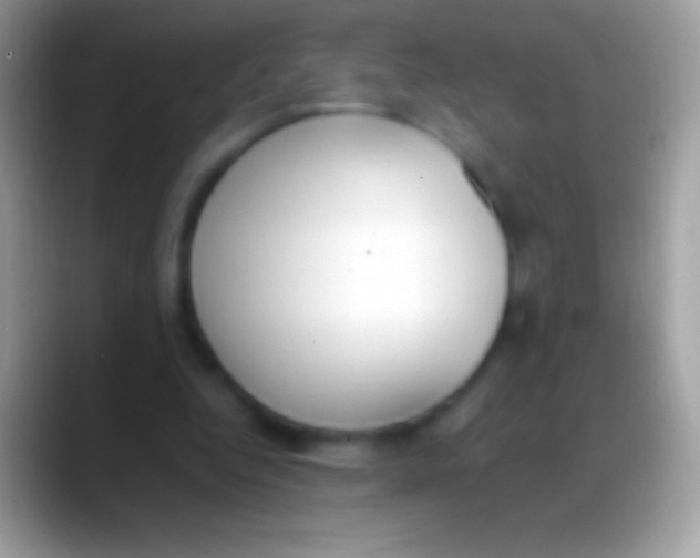 X0000088150344200706041359