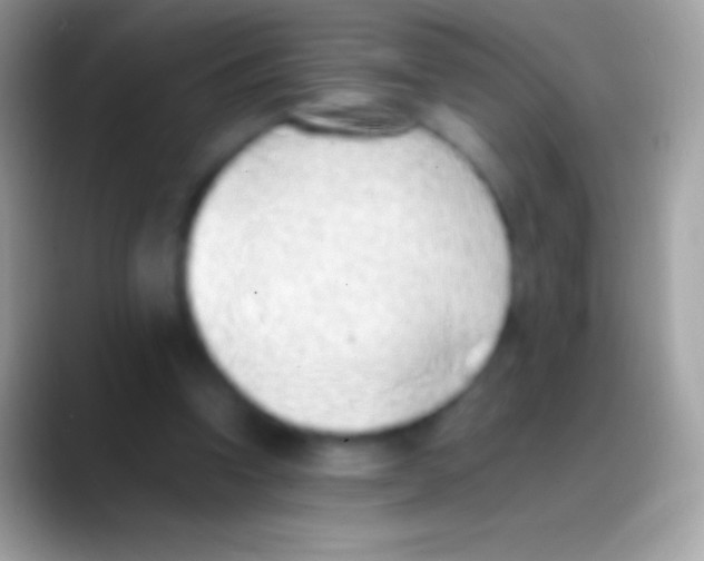 X0000088150346200706041359